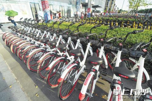 昨日下午，在開福區(qū)萬達(dá)廣場(chǎng)，成片的共享單車停放在廣場(chǎng)前坪。 長(zhǎng)沙晚報(bào)記者 黃啟晴 攝