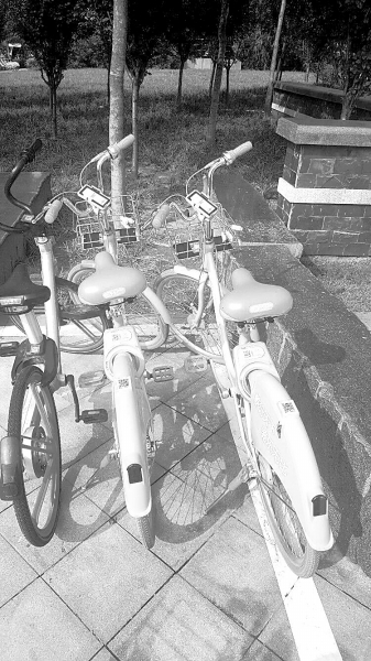 可給手機(jī)充電的共享單車