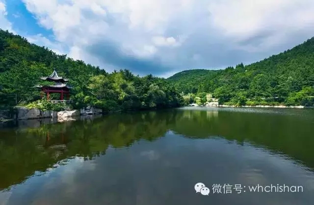 花期已過葉還未紅 去赤山賞云吧！