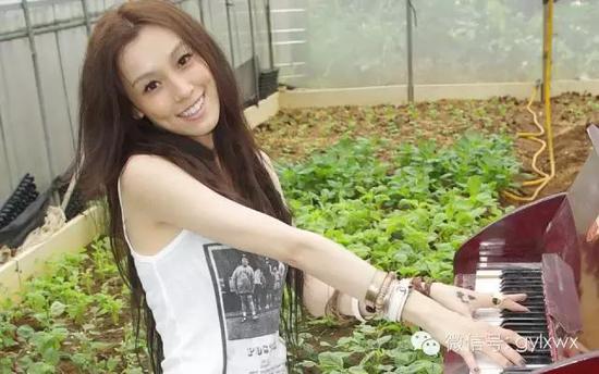 明星旅行糗事一籮筐 總有一個(gè)萌到你！