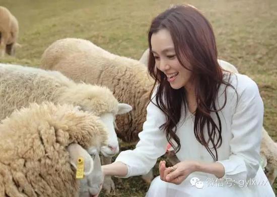 明星旅行糗事一籮筐 總有一個(gè)萌到你！