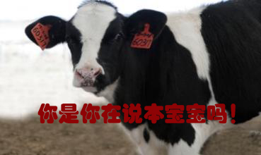 關(guān)我什么事！