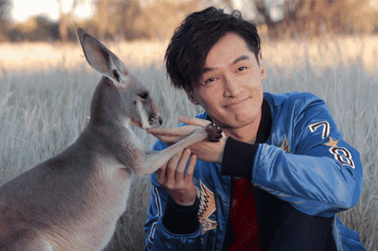 小袋鼠還有親到胡歌喲！