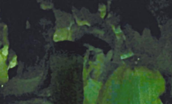 房祖名去年被港媒直擊在中環(huán)夜店與長(zhǎng)發(fā)妞互動(dòng)曖昧，女生正是Nana