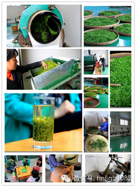 制茶的工藝真地道，仿佛聞到了茶香