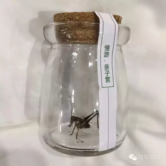 看看我的成果吧！