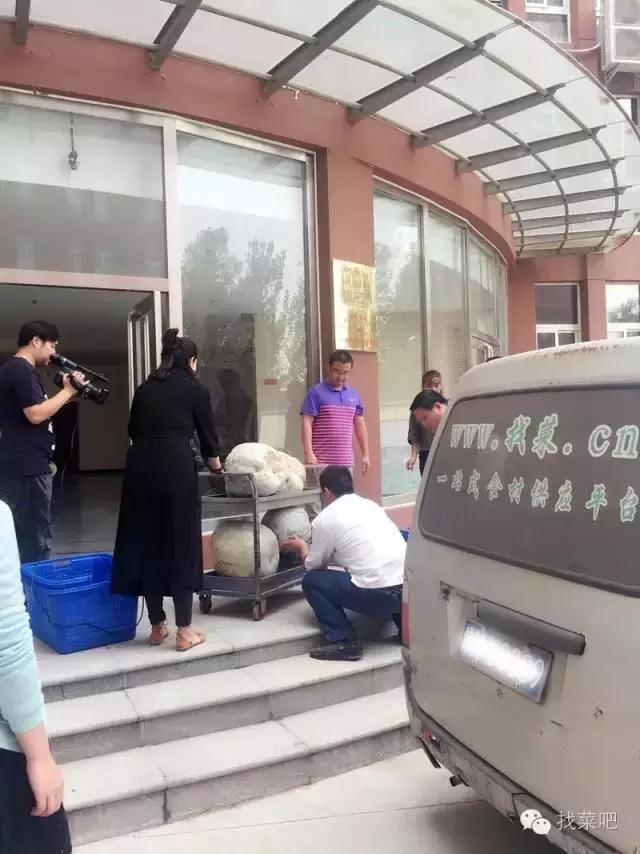 找菜網(wǎng)認購百萬斤冬瓜，解農(nóng)戶燃眉之急