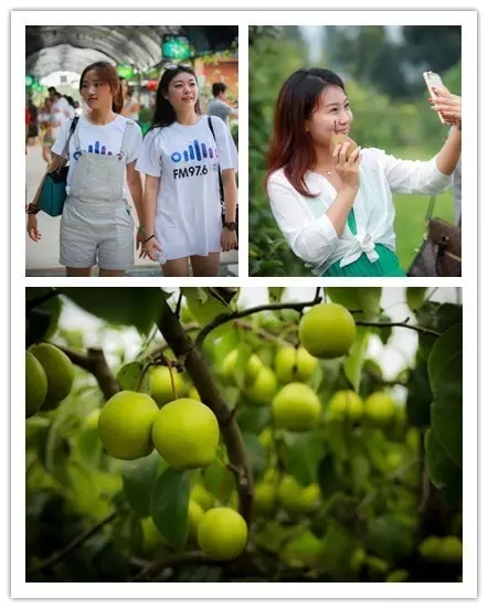 美女與香梨，你更愛哪一個(gè)？！