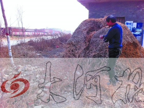 張哥、張弟就是在這兒撿到的投毒面包。