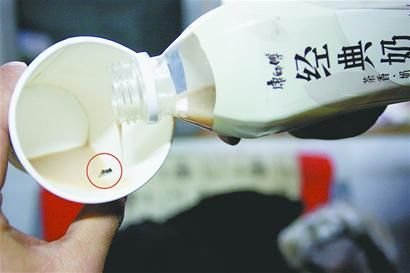 田先生喝的經(jīng)典奶茶中有一只蒼蠅。