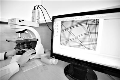 顯微鏡下，聚酯纖維很光亮，表面有斑點，粗細非常均勻。