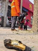 老漢右腿燒傷，樹下扔了一只燒焦的鞋