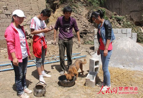 渴壞了的小黃狗在喝水。王生元/攝