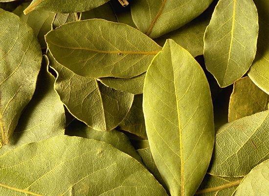 你知道廚房里常見調(diào)料的用法嗎？