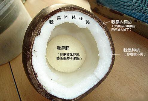 你在甜品店常吃的東西，到底都是啥？