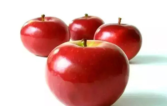 小心有毒！各種蔬果不能吃的部分