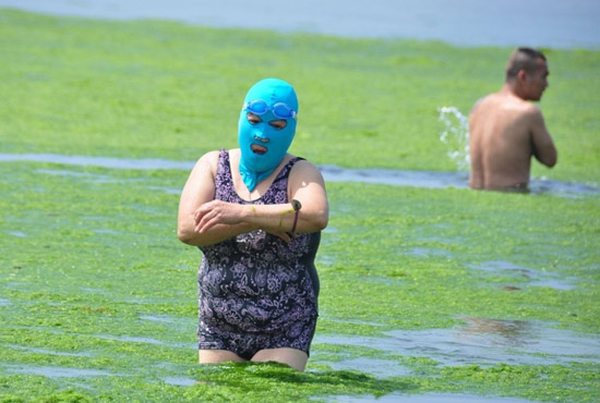 2013年7月3日，山東青島青島高溫來襲，“青島大媽”不懼滸苔，戴著“強盜面具”出現(xiàn)在海水浴場消暑降