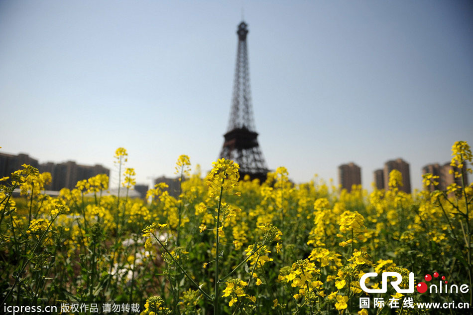 　2014年3月21日，杭州天都城，農(nóng)民在山寨埃菲爾鐵塔下耕作。圖片來(lái)源：東方IC