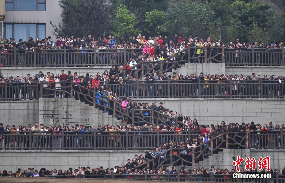 重慶上萬粉絲在南濱路等待《奔跑吧兄弟》節(jié)目的錄制。