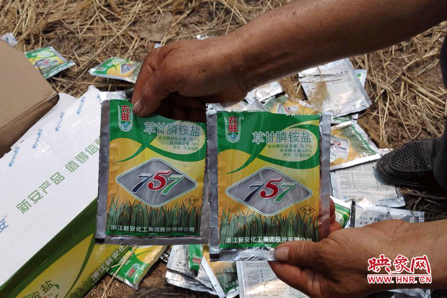 毀掉玉米的農(nóng)藥袋散落在地頭。