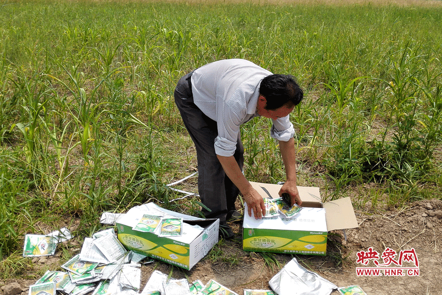 村民察看摧毀玉米的農(nóng)藥。