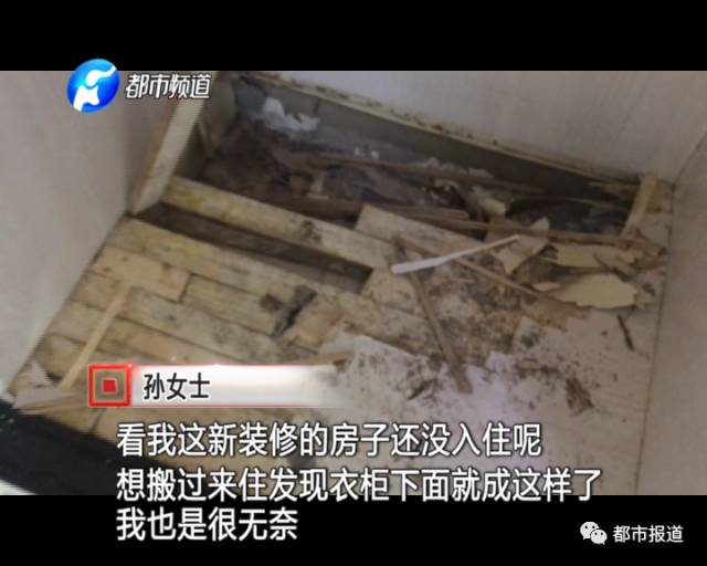 蟻族大軍入侵！十幾萬裝修的新家被“吃掉”