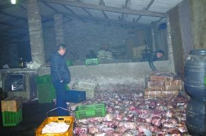  警方現(xiàn)場查獲的大量病死豬肉及“問題”腌臘制品。 沙區(qū)警方供圖