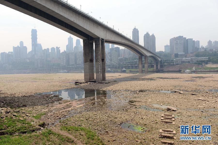 重慶黃花園大橋下大面積江灘裸露(5月4日攝)。