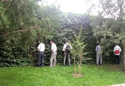 6月30日，頤和園內(nèi)綠地上，多名游客在小解。 網(wǎng)友“攝影老鬼” 攝