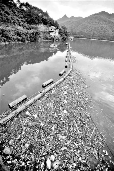 7月7日，廣西賀州市賀江合面獅段被污染的水域。據(jù)新華社