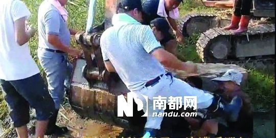 幾名戴黑帽的男子將一名老人推入水塘，后反復(fù)腳踹。