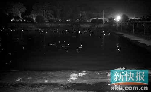 昨日，西湖村鱷魚(yú)養(yǎng)殖場(chǎng)已修復(fù)圍欄。