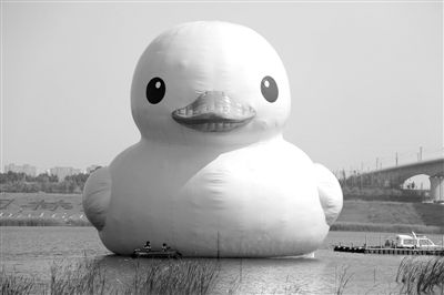 昨日，經(jīng)過連夜修正，大黃鴨的嘴部已恢復(fù)變寬，和在香港展出時看起來一樣。