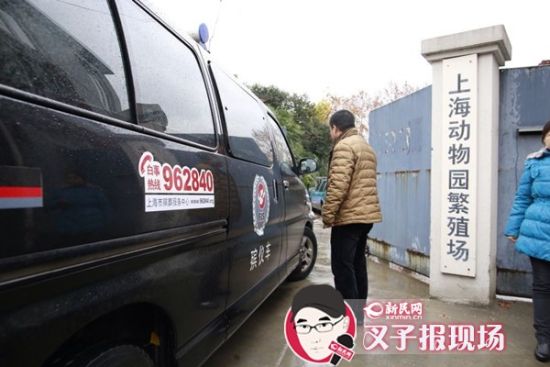 殯葬車到達現(xiàn)場。新民網(wǎng) 記者 蕭君瑋 攝