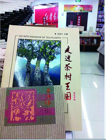 今天上午，記者在普洱市振興大道上的新華書店內(nèi)發(fā)現(xiàn)，沈培平主編的《走進(jìn)茶樹王國》、《普洱茶連環(huán)畫》兩種書還在售