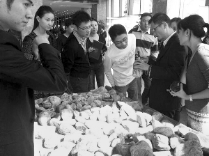 前段時間，夫子廟古玩城舉行的一場賭石活動，吸引了不少人參與