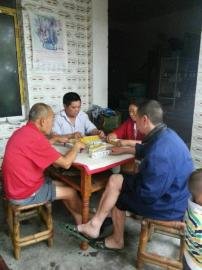 掃水掃不及，胥家鎮(zhèn)柏河村的居民干脆打起了麻將。