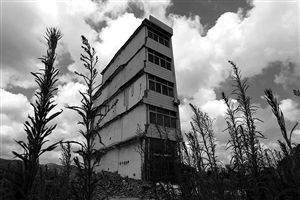 這幢5層的“片片樓”周圍已是一片拆遷后的廢墟，左邊的一堵墻上，不少鋼筋裸露在外面 圖片來源：新華網(wǎng)