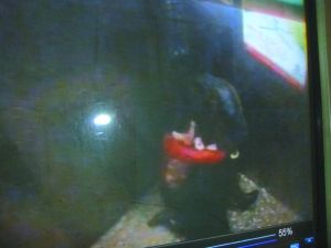 男子將侯某撲倒，侯某反抗。