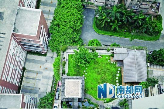 中旅商務大廈的“空中花園”。