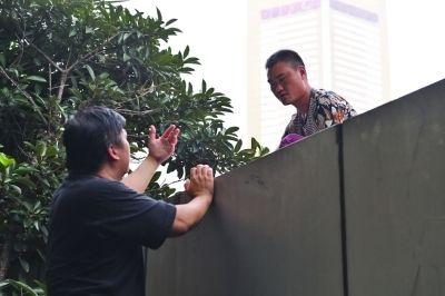 黃主任站在獨(dú)木樁上與男子交談了近半小時(shí)。