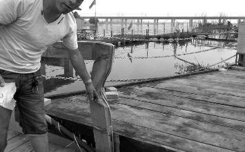 鼻孔里凝著血痂、全身多處擦傷的周先生仍有些驚魂未定。