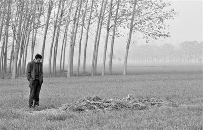 11月21日，高松中站在腦癱雙胞胎兒子墳前。