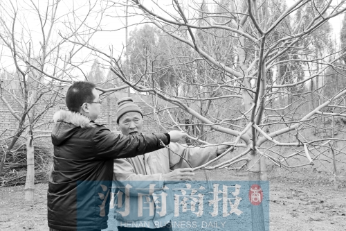 老人領(lǐng)著來(lái)訪者來(lái)看他親手種的樹,他雖然眼睛看不見,但能用手摸到樹的成長(zhǎng) 記者 唐韜/攝