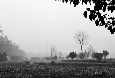 3月26日上午8點,鄭大新校區(qū),濃濃的霧霾埋沒了大好春景。