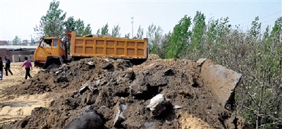 垃圾將生態(tài)涵養(yǎng)林給埋住了。