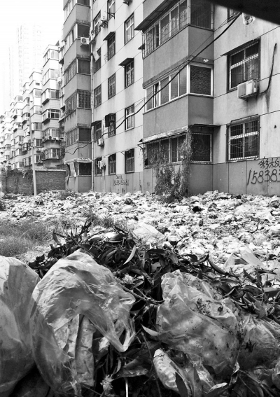 透過擋板縫向內看，30多米垃圾已經將居民樓包圍。