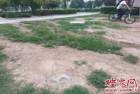 公園內(nèi)大片草坪遭到破壞。