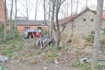 石二群在農村老家的院子雜草叢生