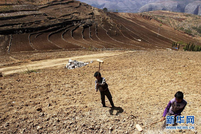 3月16日，在貴州省畢節(jié)市威寧縣斗古鄉(xiāng)中關(guān)村，兩個(gè)孩子幫助家人在干旱的土地上勞動(dòng)。